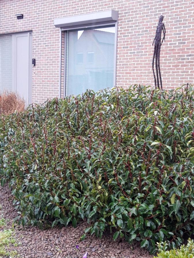 B&B Bergdal Gits Bagian luar foto